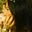 hly's profile image