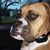 Jessica Mahanay's profile image