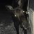 Chase Frantz's profile image
