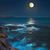 Nancy Braidwood's profile image