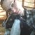 Stephanie Welch's profile image