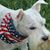 Julie Egbert's profile image