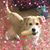 Julie Lemar's profile image