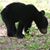 Marie Cleckner's profile image