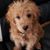 Sharon L.'s profile image