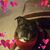 Anne Parcher's profile image
