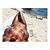 Stella Meghan James's profile image