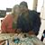 Gonzalez Marie Tina's profile image