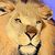 Fern Francavillo's profile image