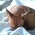 Harold A Sievers's profile image