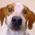 Susan Mcclung's profile image