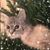 Julie Harman's profile image