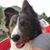 Lioudmila Jefferson's profile image