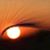 Janice Hansen's profile image