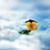Laura Yauch Hanson's profile image