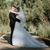 Stephanie Andrus's profile image
