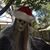 Kenneth Cohen's profile image