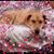 Megan Byrum's profile image