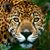 Juan Carlos Arias Vazquez's profile image