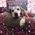 Karen Sharkey's profile image