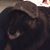 Designsby Marie-Noel's profile image