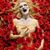Christina Livingdeadgirl's profile image
