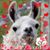 Jennifer Phluff Day's profile image