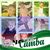 Vivian Vaca Pereyra's profile image
