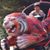 Kin Seto's profile image