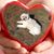 Tamar Thier's profile image