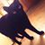 Jackie Hinca's profile image