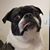 Jennifer Hollis Behlmann's profile image
