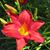 Carolyn Bright's profile image