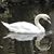 Nancy Hardin's profile image