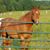 Kimberly Yoder's profile image