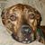 Dorann Gus Wriedt's profile image