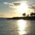 LaNette Phillips's profile image