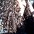 Latona Degree-Gilbert's profile image