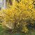 Mandy Busser Falugo's profile image