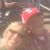 Barb Falor's profile image