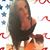 Heather Long's profile image