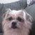Geraldine Misuraca Kron's profile image