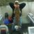 Tom Drovesky's profile image