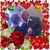 Pamela James Smith's profile image