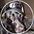 Marci McCauley Hurley's profile image