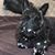 Jolene Roseland's profile image