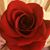 Katrenia Givens's profile image