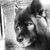 Brian Quandt's profile image