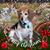 Vikki Lynn Broaddus's profile image