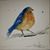 Michelle Sims Bodle's profile image